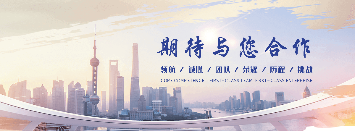南皮优化公司哪家好